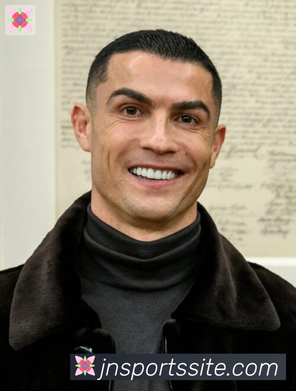 维尼修斯